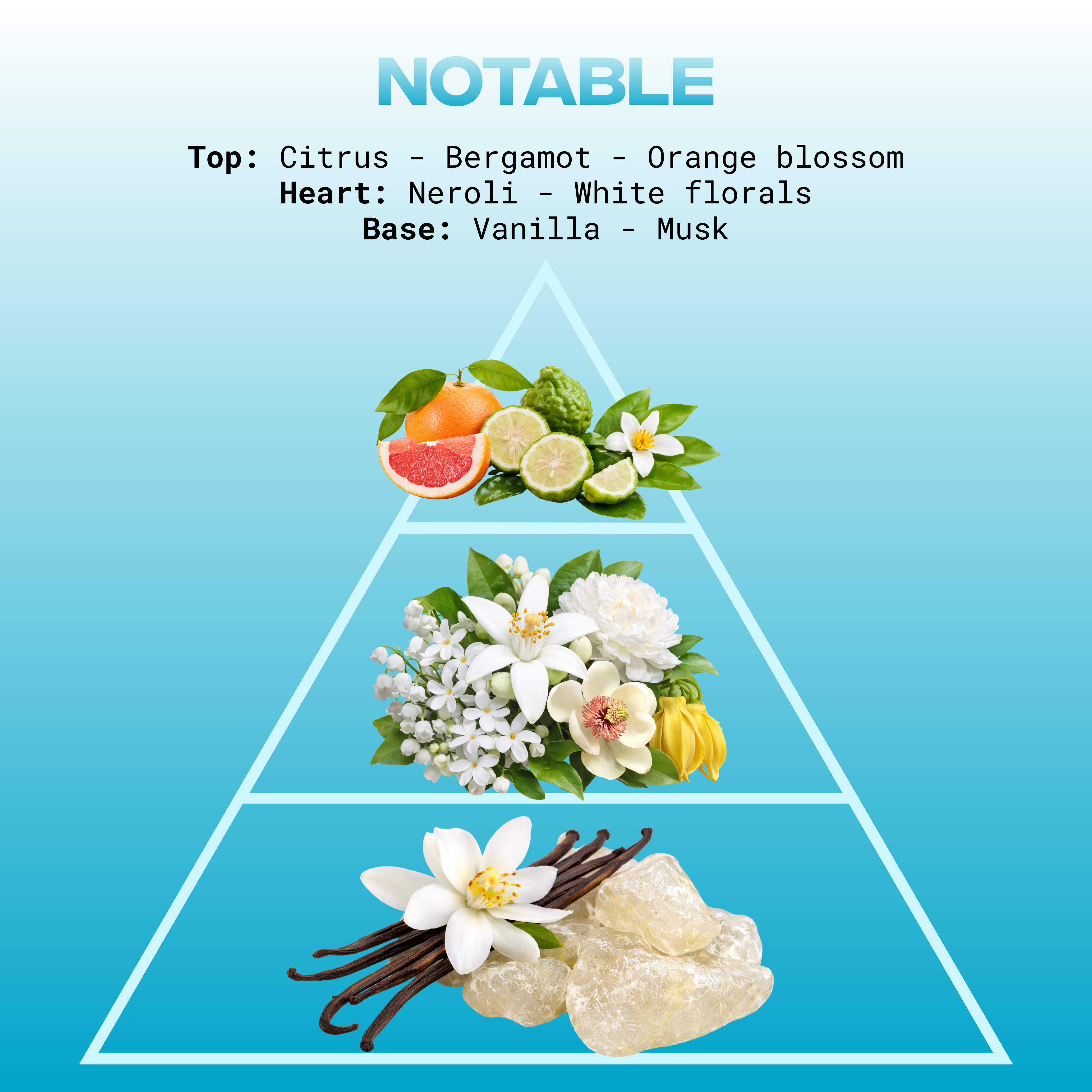 Notable (LTD EDITION)