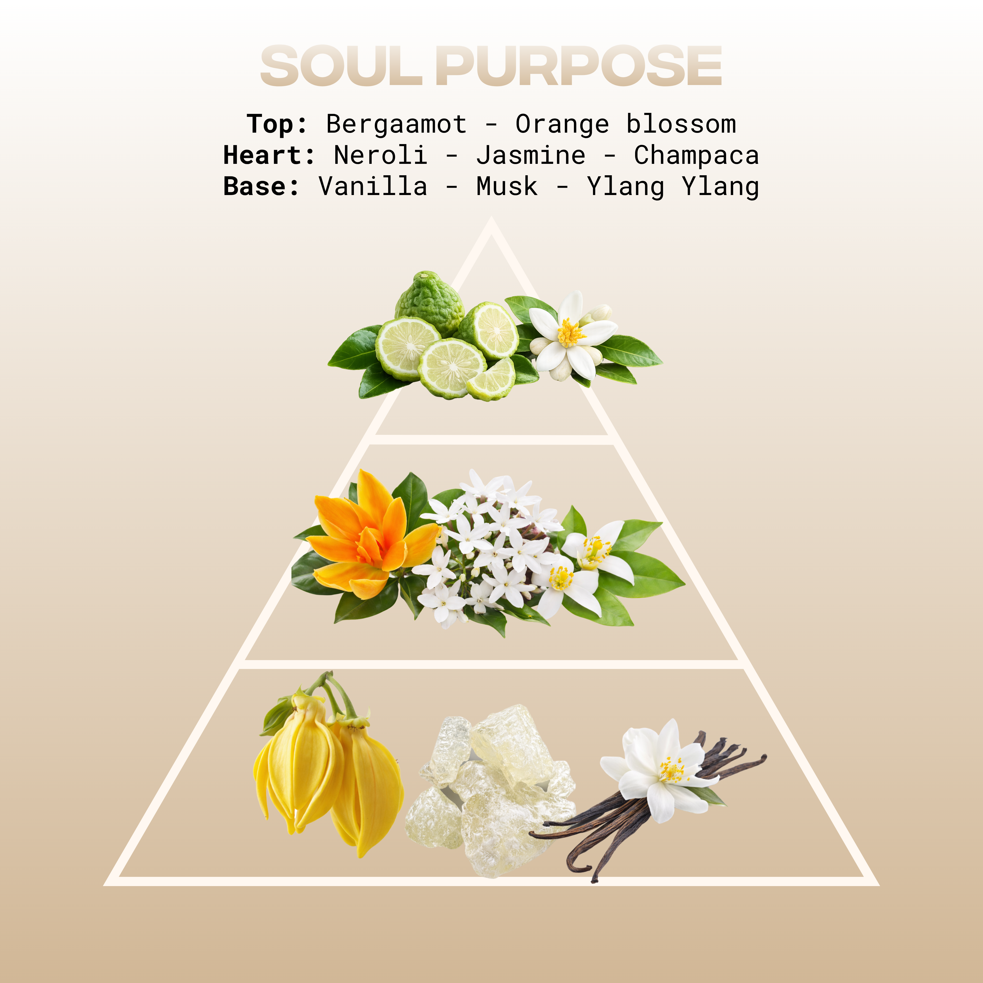 Soul Purpose (LTD EDITION)
