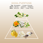 Soul Purpose (LTD EDITION)