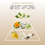Soul Purpose (LTD EDITION)